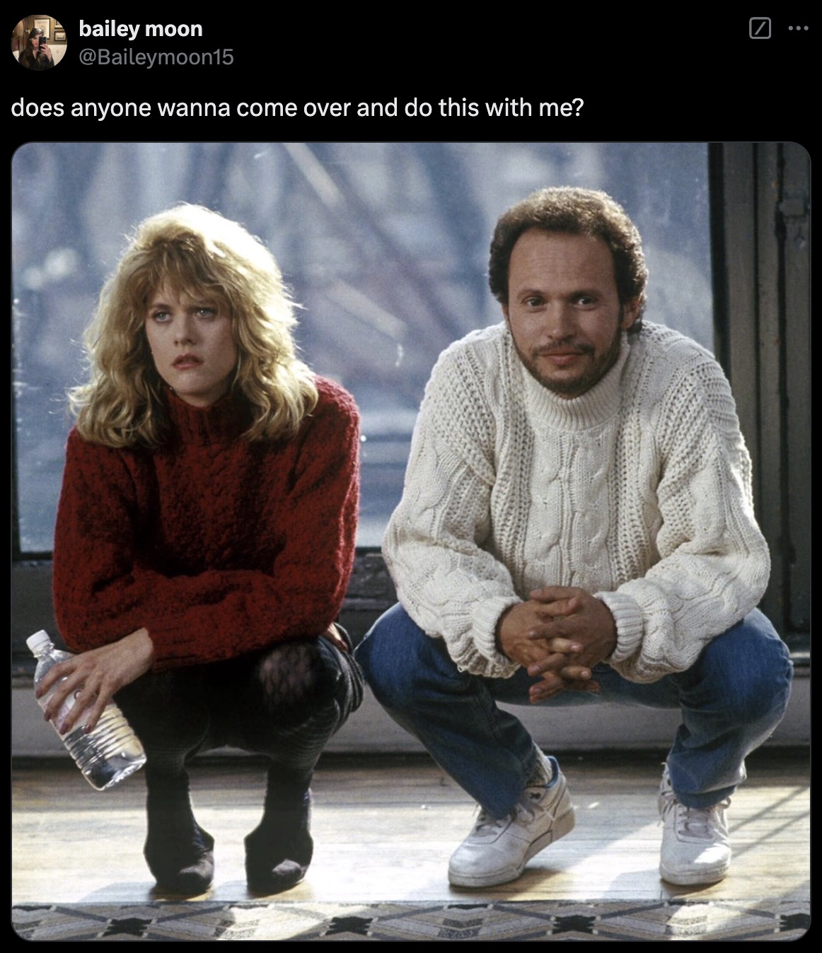 billy crystal when harry met sally sweater - bailey moon does anyone wanna come over and do this with me?